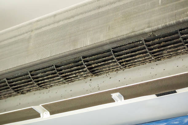 Air Duct Mold Removal in Ellenton, FL