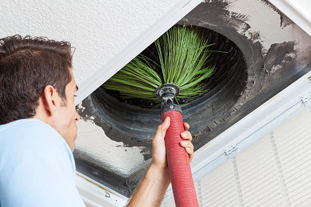 Best Professional Duct Cleaning Services  in Ellenton, FL