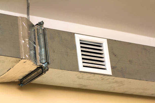Best Local Air Duct Cleaning Services  in Ellenton, FL